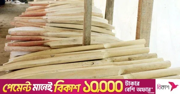 পিরোজপুরের ব্যাট তৈরির কারখানাগুলো বিশ্ববাজারের দিকে নজর দিচ্ছে