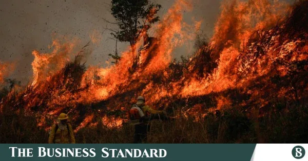 Shrinking natural areas in Brazil exacerbate El Nino impact