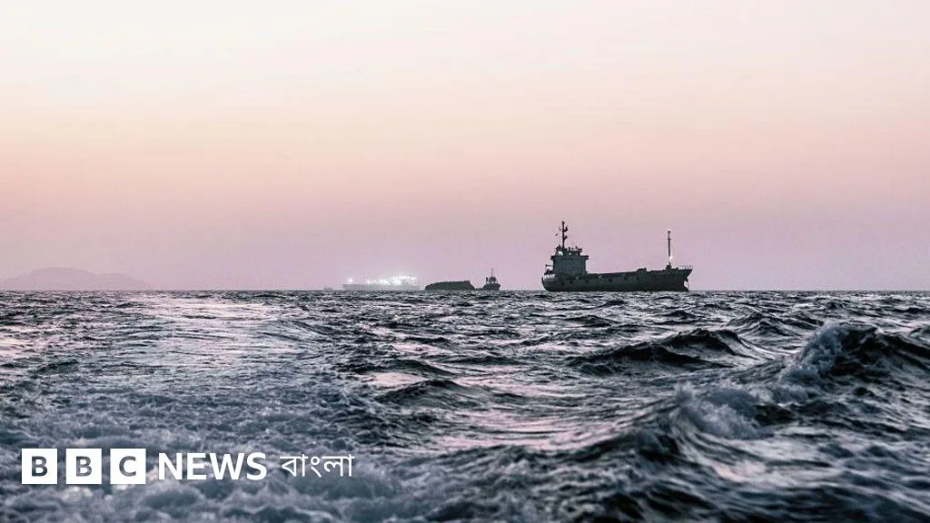 হরমুজ প্রণালিতে আটকে থাকা জাহাজ থেকে পরিবেশগত ঝুঁকির আশঙ্কা