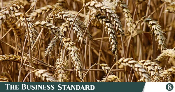 Decades of agricultural growth bolster food security against 'super' El Nino