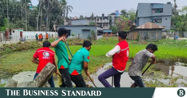 ডেঙ্গু মোকাবিলায় ৩ লাখ মানুষের কাছে পৌঁছাবে বিডিআরসিএস ও আইএফআরসি