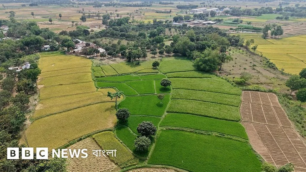 জমির নামজারিতে নতুন নিয়ম: যা জানা জরুরি