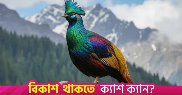 মানুষের কর্মকাণ্ডে হিমালয়ান মোনাল পাখির ডাকের ধরনে পরিবর্তন
