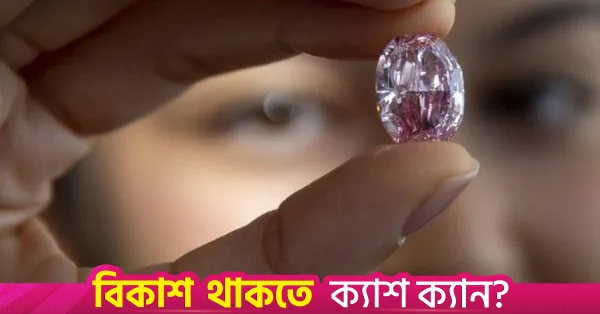 Stolen Grand Condé pink diamond returns to public display in France
