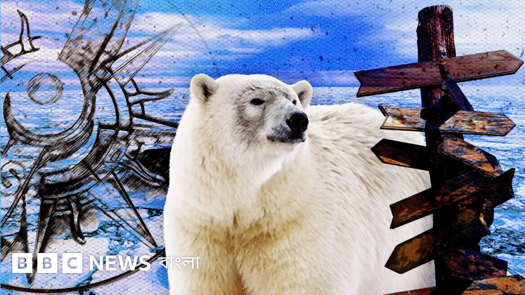 How many North Poles does the Earth have?