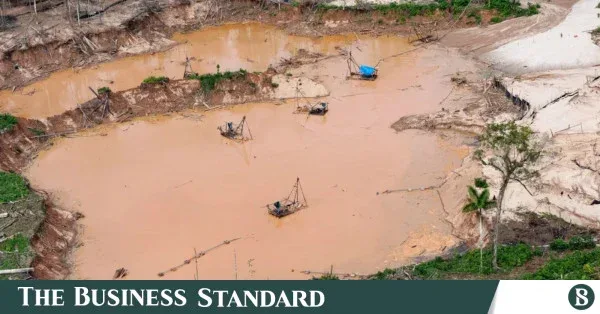 Human rights body demands oversight of technology in Latin American environmental crimes